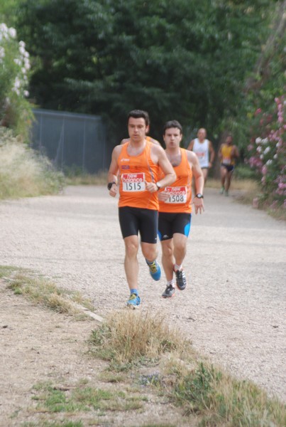 Solstizio d'estate ( C.E.)  (14/06/2015) 00035