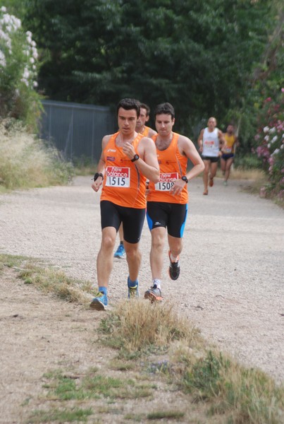Solstizio d'estate ( C.E.)  (14/06/2015) 00036