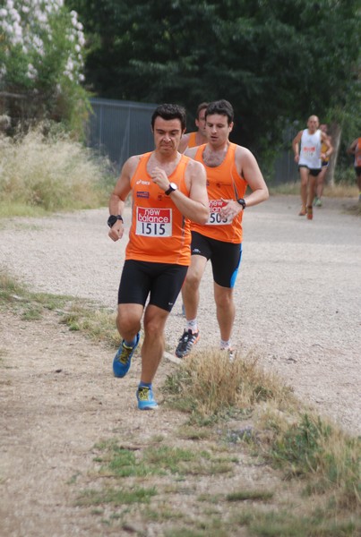 Solstizio d'estate ( C.E.)  (14/06/2015) 00037