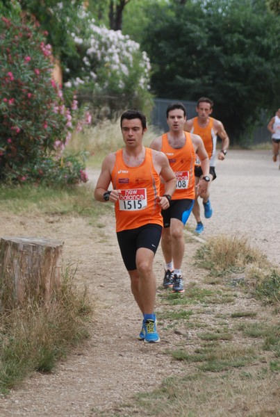 Solstizio d'estate ( C.E.)  (14/06/2015) 00039