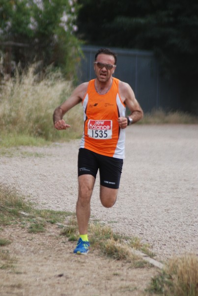 Solstizio d'estate ( C.E.)  (14/06/2015) 00047