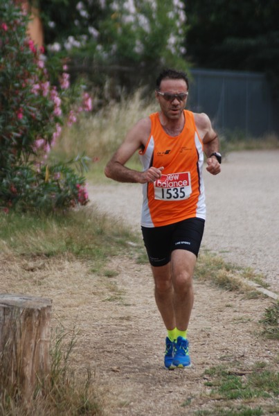 Solstizio d'estate ( C.E.)  (14/06/2015) 00050