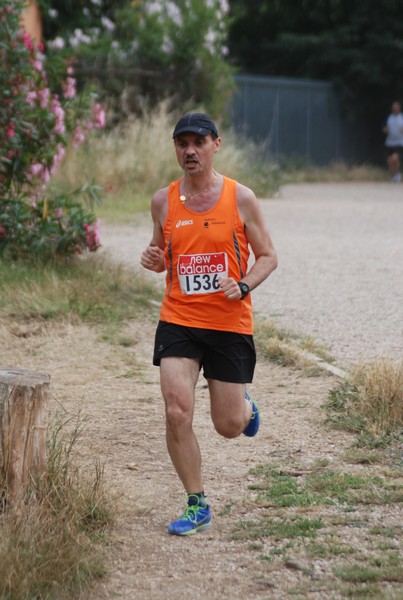 Solstizio d'estate ( C.E.)  (14/06/2015) 00056