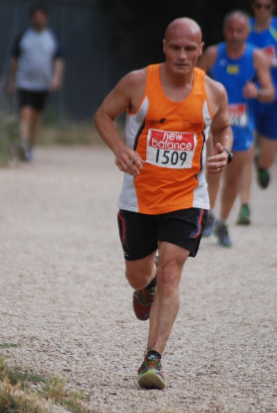 Solstizio d'estate ( C.E.)  (14/06/2015) 00066