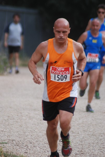 Solstizio d'estate ( C.E.)  (14/06/2015) 00067