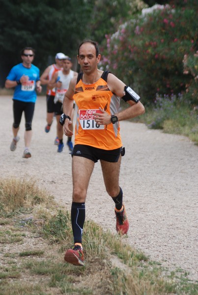 Solstizio d'estate ( C.E.)  (14/06/2015) 00069