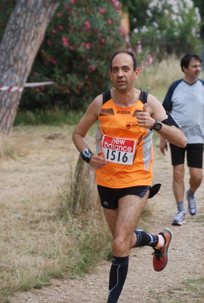 Solstizio d'estate ( C.E.)  (14/06/2015) 00071