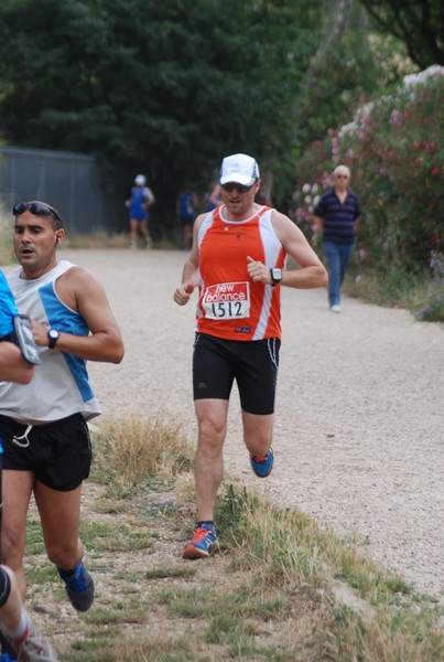 Solstizio d'estate ( C.E.)  (14/06/2015) 00074