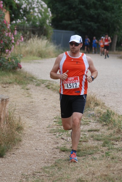 Solstizio d'estate ( C.E.)  (14/06/2015) 00076