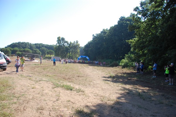 Trofeo Città di Nettuno (02/06/2015) 00001