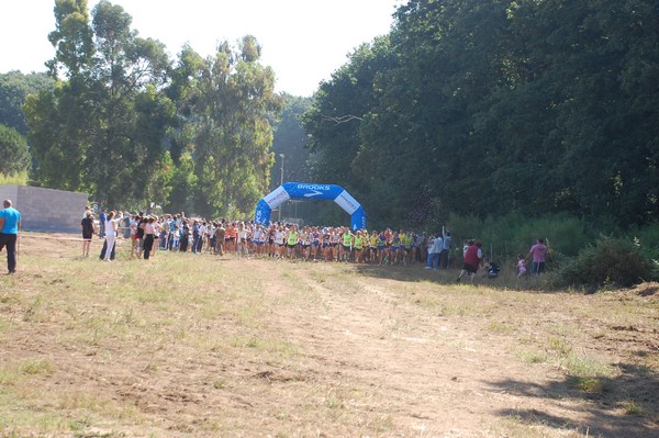 Trofeo Città di Nettuno (02/06/2015) 00011