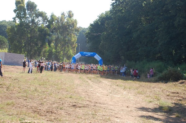 Trofeo Città di Nettuno (02/06/2015) 00012
