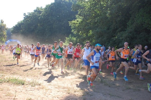 Trofeo Città di Nettuno (02/06/2015) 00027