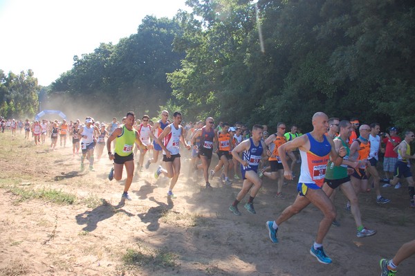 Trofeo Città di Nettuno (02/06/2015) 00029