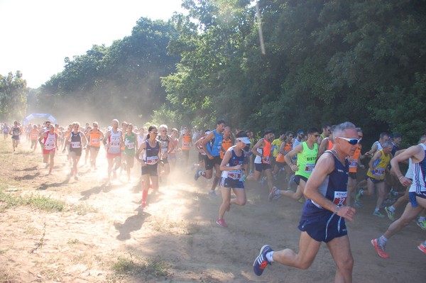 Trofeo Città di Nettuno (02/06/2015) 00031