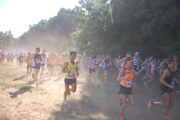 Trofeo Città di Nettuno (02/06/2015) 00035