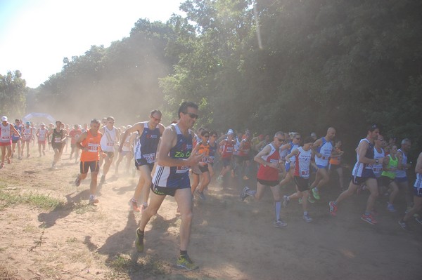 Trofeo Città di Nettuno (02/06/2015) 00037
