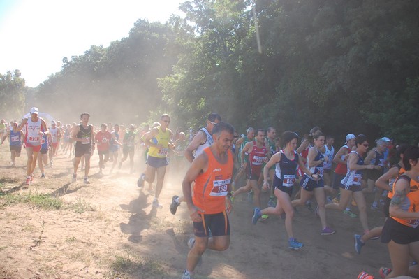 Trofeo Città di Nettuno (02/06/2015) 00038