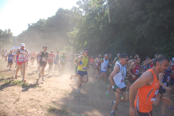 Trofeo Città di Nettuno (02/06/2015) 00039