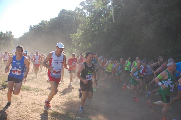 Trofeo Città di Nettuno (02/06/2015) 00040