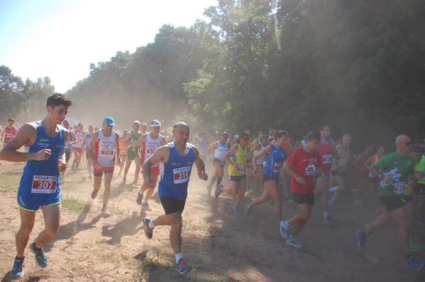 Trofeo Città di Nettuno (02/06/2015) 00042