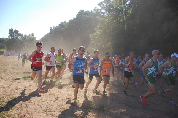 Trofeo Città di Nettuno (02/06/2015) 00044