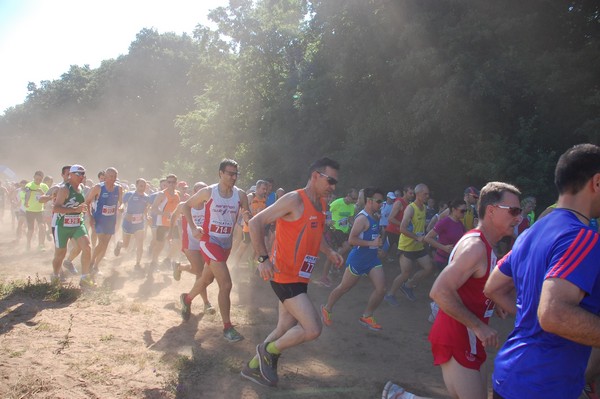 Trofeo Città di Nettuno (02/06/2015) 00047