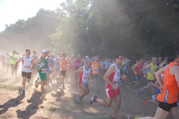 Trofeo Città di Nettuno (02/06/2015) 00048