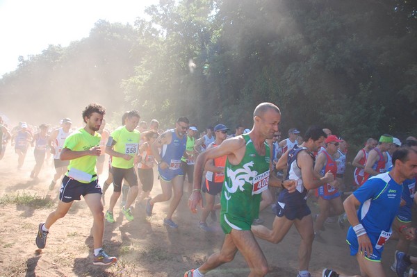 Trofeo Città di Nettuno (02/06/2015) 00050