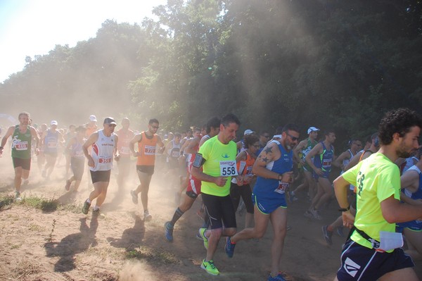 Trofeo Città di Nettuno (02/06/2015) 00051