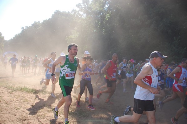 Trofeo Città di Nettuno (02/06/2015) 00052