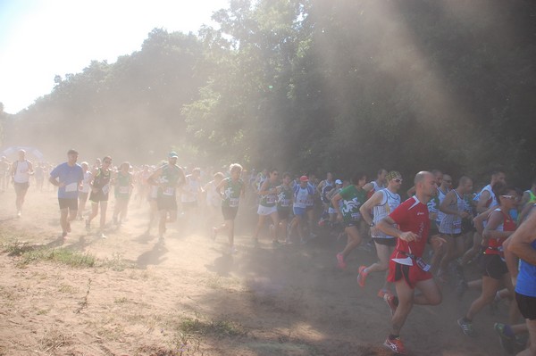 Trofeo Città di Nettuno (02/06/2015) 00055