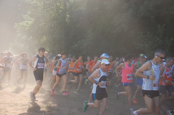 Trofeo Città di Nettuno (02/06/2015) 00061