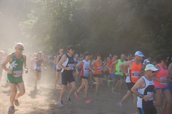 Trofeo Città di Nettuno (02/06/2015) 00062