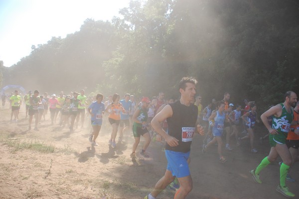 Trofeo Città di Nettuno (02/06/2015) 00069