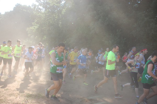 Trofeo Città di Nettuno (02/06/2015) 00073