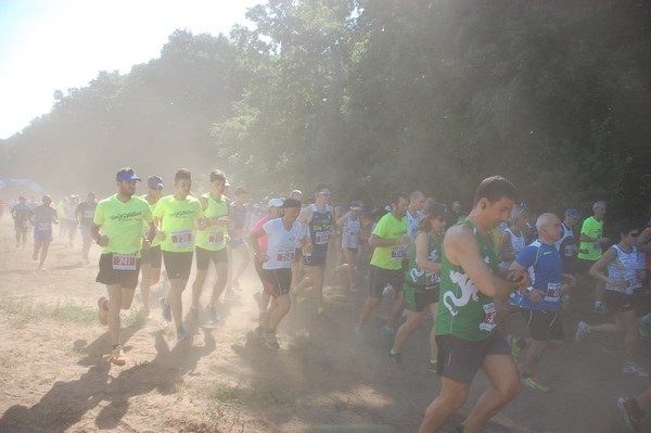 Trofeo Città di Nettuno (02/06/2015) 00074