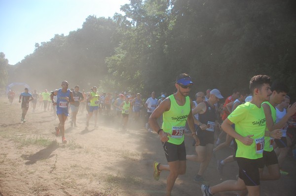 Trofeo Città di Nettuno (02/06/2015) 00076