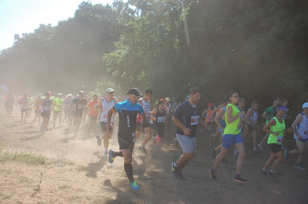 Trofeo Città di Nettuno (02/06/2015) 00079