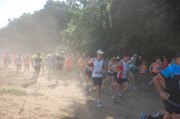 Trofeo Città di Nettuno (02/06/2015) 00080