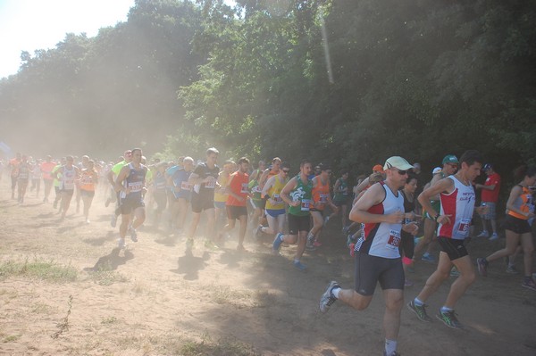 Trofeo Città di Nettuno (02/06/2015) 00081