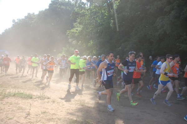 Trofeo Città di Nettuno (02/06/2015) 00082