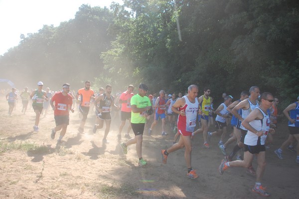 Trofeo Città di Nettuno (02/06/2015) 00085