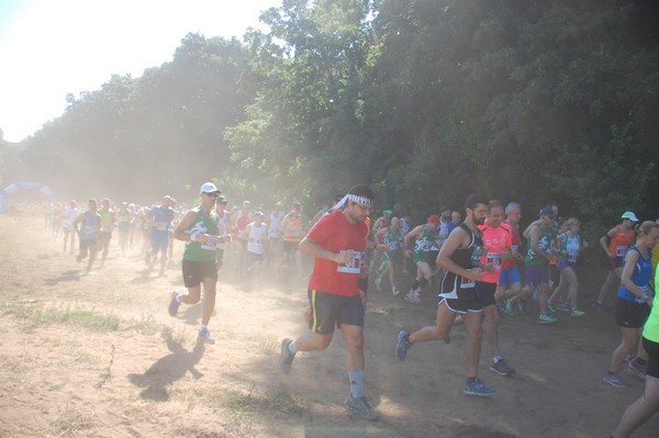 Trofeo Città di Nettuno (02/06/2015) 00087
