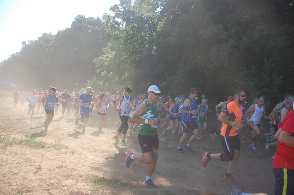 Trofeo Città di Nettuno (02/06/2015) 00088