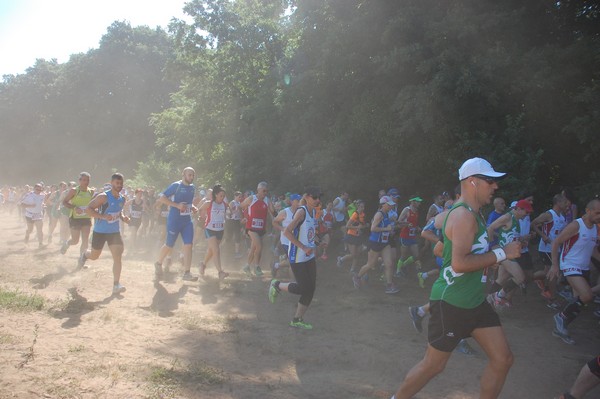 Trofeo Città di Nettuno (02/06/2015) 00089