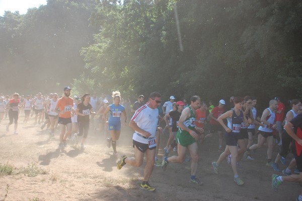 Trofeo Città di Nettuno (02/06/2015) 00093