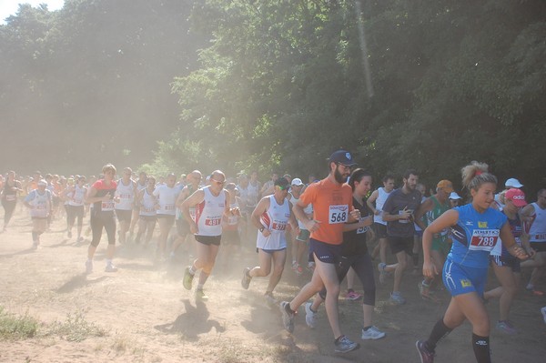 Trofeo Città di Nettuno (02/06/2015) 00095