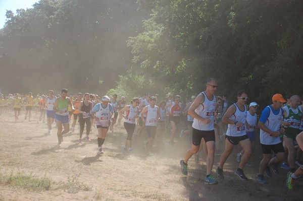 Trofeo Città di Nettuno (02/06/2015) 00098