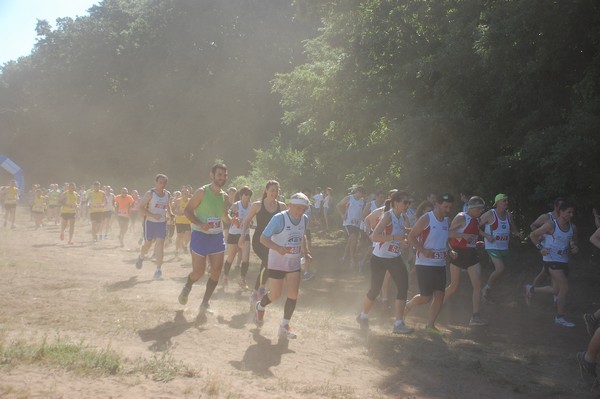 Trofeo Città di Nettuno (02/06/2015) 00100
